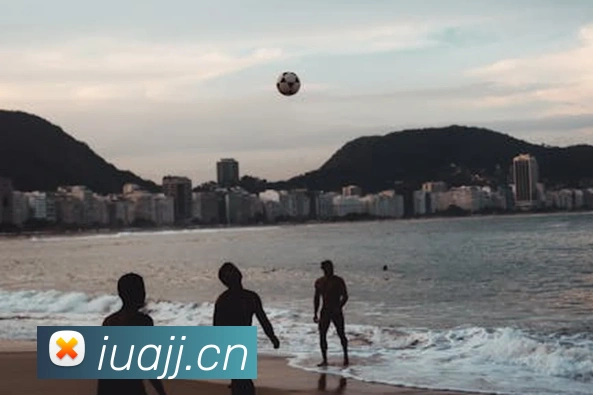 ayx官网登录发展历程